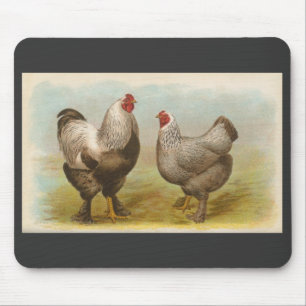 Tapis De Souris Graham - poulets foncés de Brahma