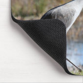 Tapis De Souris Graine de Sandhill (Coin)