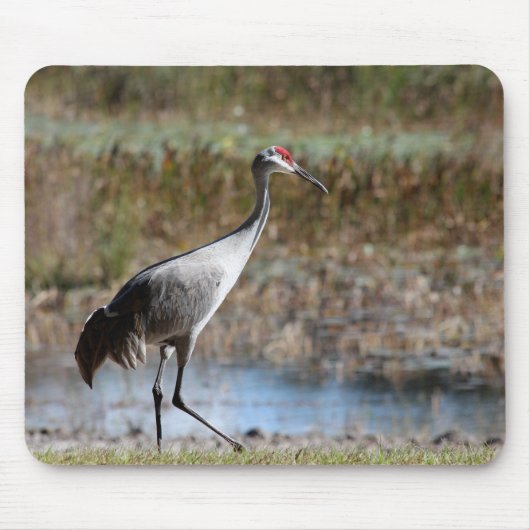 Tapis De Souris Graine de Sandhill (Devant)