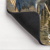 Tapis De Souris Graine de Sandhill (Coin)