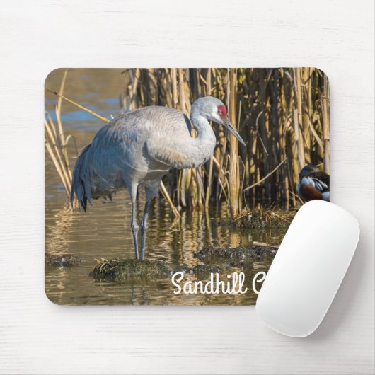 Tapis De Souris Graine de Sandhill (Avec souris)