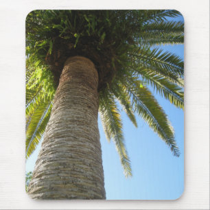 Tapis De Souris gramspalmtree