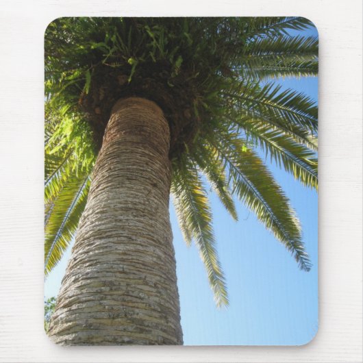 Tapis De Souris gramspalmtree (Devant)