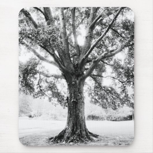 Tapis De Souris Grand (Devant)