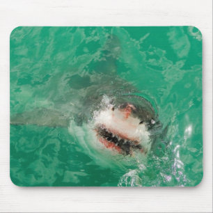 Tapis De Souris Grand blanc Shark1