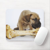 Tapis De Souris Grand chiot Dane avec os en studio (Avec souris)