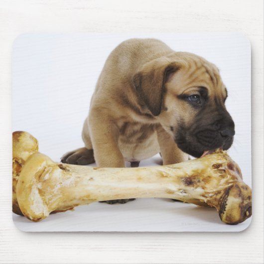 Tapis De Souris Grand chiot Dane avec os en studio (Devant)