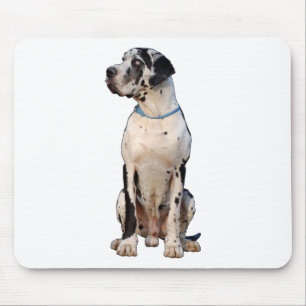 Tapis De Souris Grand Danois noir et blanc