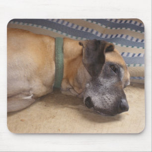Tapis De Souris Grand great dane doux
