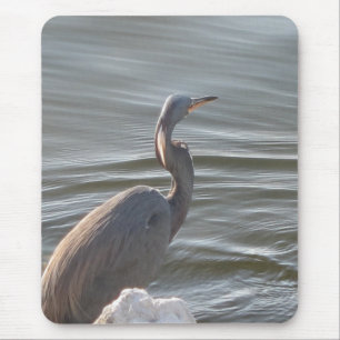 Tapis De Souris Grand Héron Bleu près de l'Eau