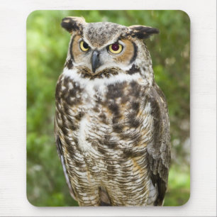 Tapis De Souris Grand hibou à cornes