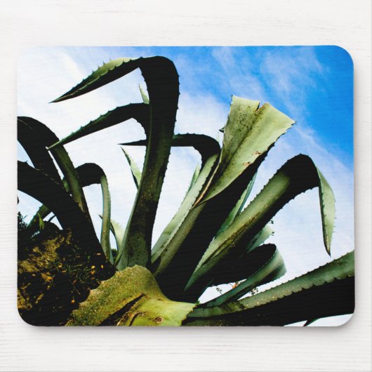 Tapis De Souris Grand Plante vert géant avec ciel bleu clair (Devant)
