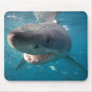 Tapis De Souris Grand requin blanc