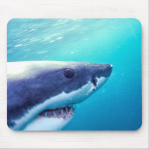 Tapis De Souris Grand requin blanc Afrique du Sud