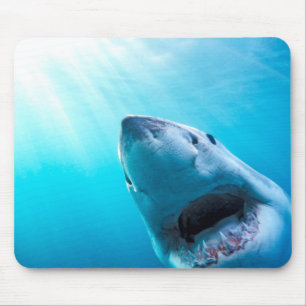 Tapis De Souris Grand requin blanc Afrique du Sud