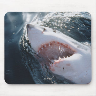 Tapis De Souris Grand requin blanc en mer