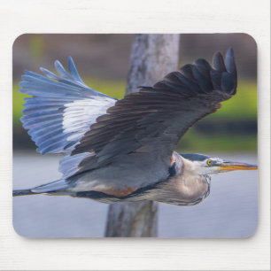 Tapis De Souris Grande Aigrette en Vol Faune Oiseaux Photographie