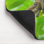 Tapis De Souris Grande araignée Brown (Coin)