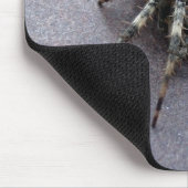 Tapis De Souris grande araignée grise (Coin)