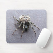 Tapis De Souris grande araignée grise (Avec souris)