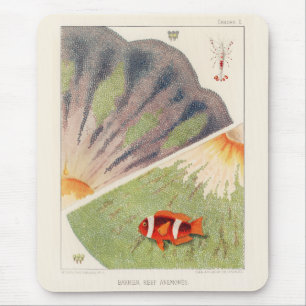 Tapis De Souris Grande barrière vintage de l'Australie Anémones