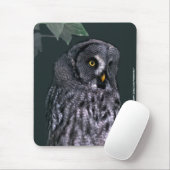 Tapis De Souris Grande Chouette grise (Avec souris)