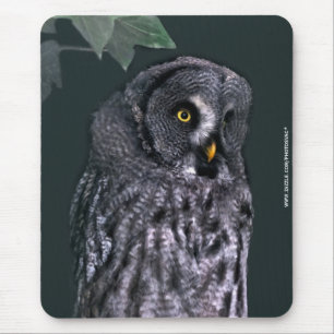 Tapis De Souris Grande Chouette grise