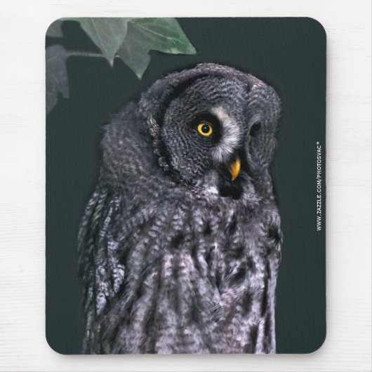 Tapis De Souris Grande Chouette grise (Devant)