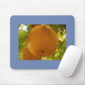Tapis De Souris Grande poire (Avec souris)