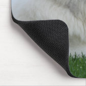 Tapis De Souris Grande Pyrénées Mousepad (Coin)