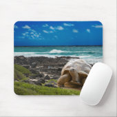 Tapis De Souris Grande tortue au bord de mer (Avec souris)