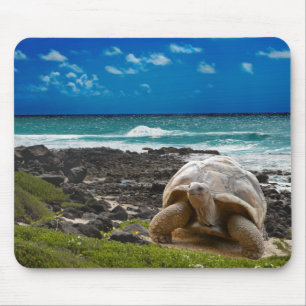 Tapis De Souris Grande tortue au bord de mer