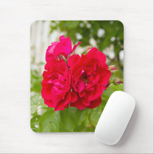 Tapis De Souris Grandes roses rouges dans le jardin