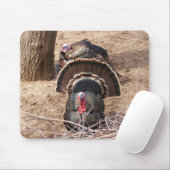 Tapis De Souris Grands dindons ! (Avec souris)