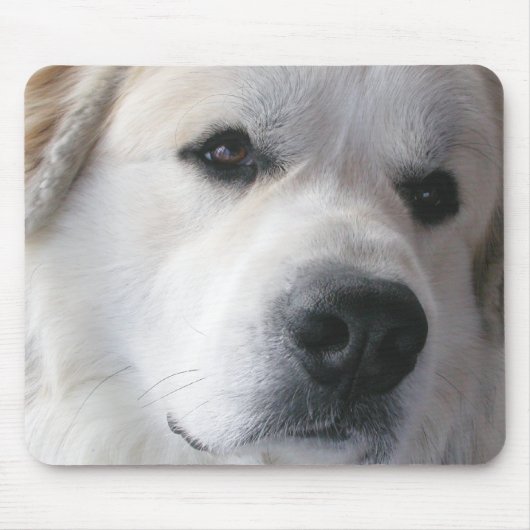 Tapis De Souris Grands Pyrénées Mousepad (Devant)