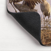 Tapis De Souris Granes de Sandhill Grus canadensis) Platte (Coin)