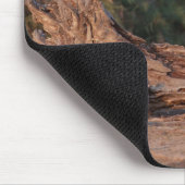 Tapis De Souris Grant Zebra 5 (Coin)