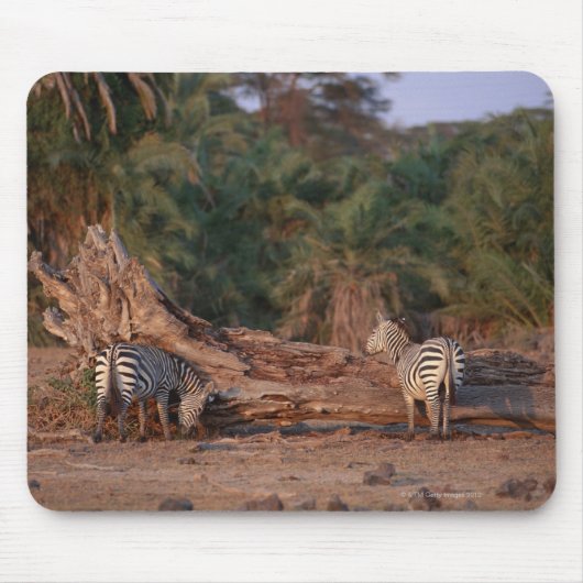 Tapis De Souris Grant Zebra 5 (Devant)