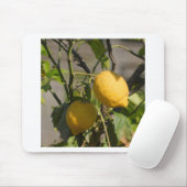 Tapis De Souris Graphiques Citron Espagnol (Avec souris)