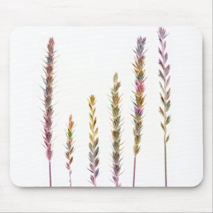 Tapis De Souris Grasses colorées