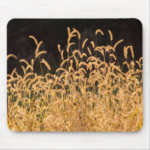 Tapis De Souris Grasses d'automne