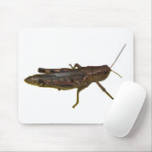 Tapis De Souris Grasshopper (Avec souris)