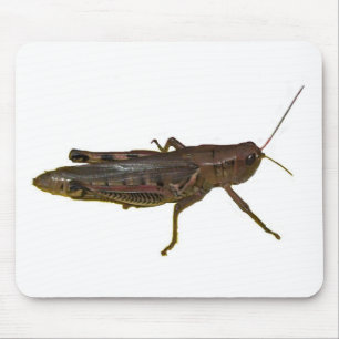Tapis De Souris Grasshopper