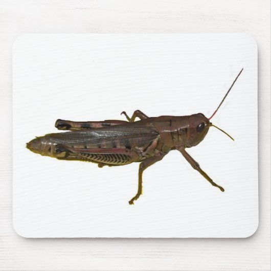 Tapis De Souris Grasshopper (Devant)