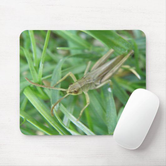Tapis De Souris Grasshopper Mousepad (Avec souris)