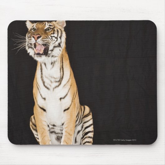 Tapis De Souris Gravure de tigre (Devant)