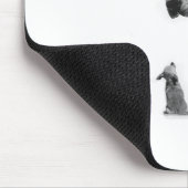 Tapis De Souris great-dane-and-chihuahua1 (Coin)