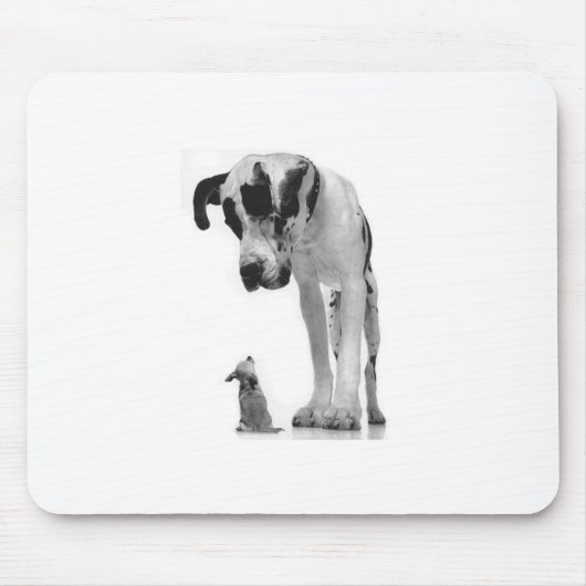 Tapis De Souris great-dane-and-chihuahua1 (Devant)