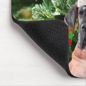 Tapis De Souris Great Dane w Christmas Tree Cadeaux Boîtes de Noël (Coin)