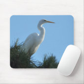 Tapis De Souris Great Egret dans la Floride ensoleillée (Avec souris)